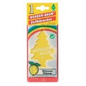 Wunder-baum Citron